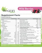 Naturade Nutritional Shake Vegan Smart All In One Wild Berries 22.8 oz