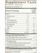 Genceutic Naturals Plant Head Protein Strawberry 1.7 lb