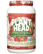 Genceutic Naturals Plant Head Protein Strawberry 1.7 lb