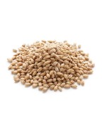 Grains Hulless Barley (1x25LB )