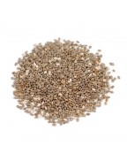 Seeds Black Chia Seeds (1x25LB )