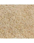 Seeds Hull/Sesame Seed Wht (1x5LB )