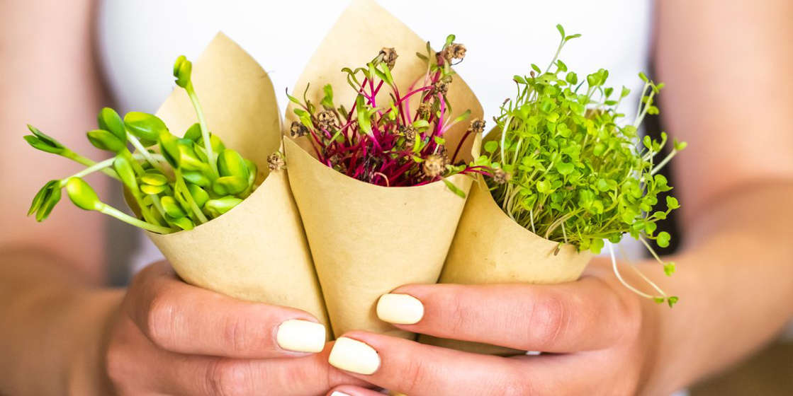  Are Seemingly-Fancy Microgreens Worth Adding to Your Meals?